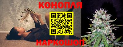стаф Гагарин